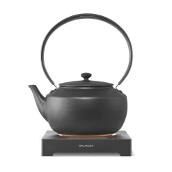 Sale BALMUDA MoonKettle - Black Kitchen Appliances & Cookware