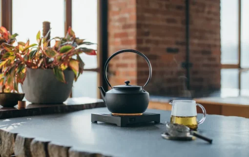Sale BALMUDA MoonKettle - Black Kitchen Appliances & Cookware