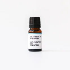 New Pure Essential Oil - Eucalyptus Essential Oils|Aroma Diffusers