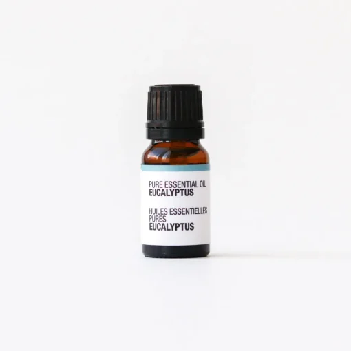 New Pure Essential Oil - Eucalyptus Essential Oils|Aroma Diffusers